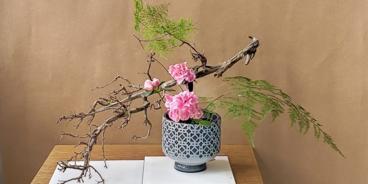 Casapark recebe a 34ª Exposição Anual de Ikebana Sogetsu Brasília