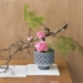 Casapark recebe a 34ª Exposição Anual de Ikebana Sogetsu Brasília