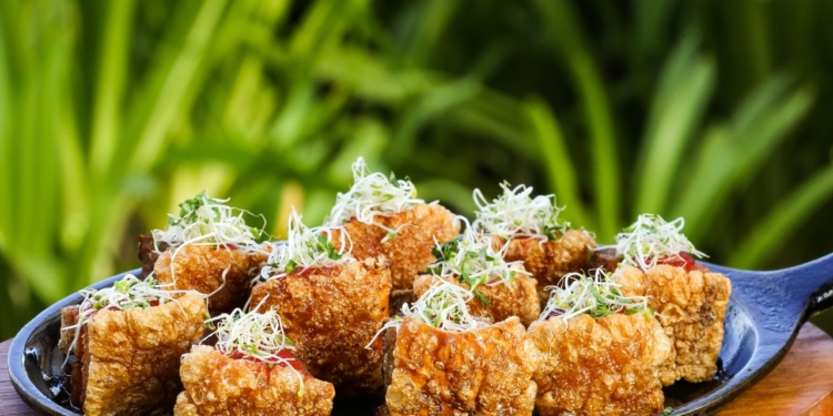 Gran Bier e Sagrado Mar participam do Festival Bar em Bar