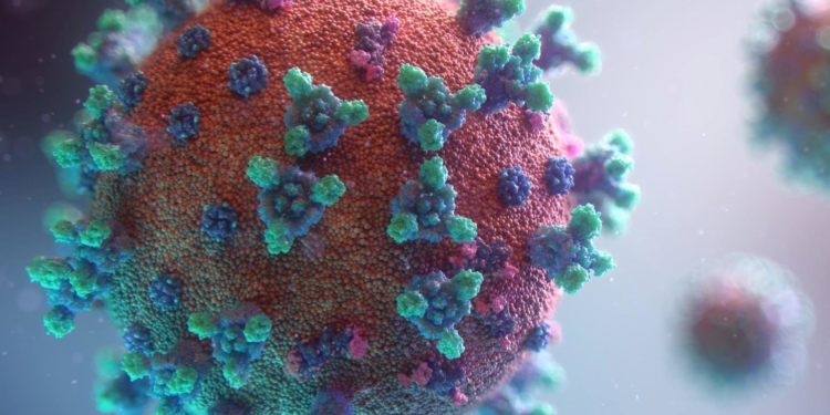 Estudo revela que combinação de infecção e vacinação gera ‘superimunidade’ contra a Covid-19