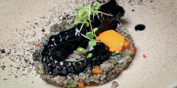 Festival Nossos 7 Polvos: Sagrado Mar apresenta menu exclusivo em oito etapas