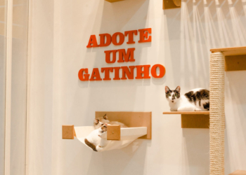 Liberty Mall lança campanha com parceiros para adoção de gatos