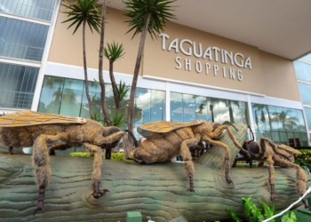 Natureza Gigante: Taguatinga Shopping convida público para uma imersão no mundo dos insetos e aracnídeos