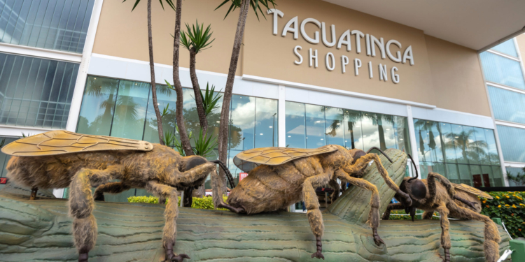 Natureza Gigante: Taguatinga Shopping convida público para uma imersão no mundo dos insetos e aracnídeos
