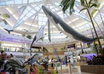 Exposição ‘Gigantes das Águas’ fica no ParkShopping até 10 de abril