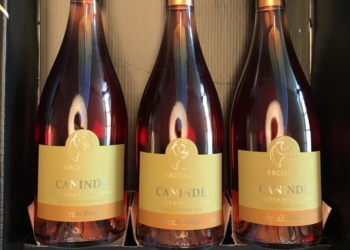 Vinícola Brasília: Capital federal produz pela primeira vez rótulos próprios de vinhos