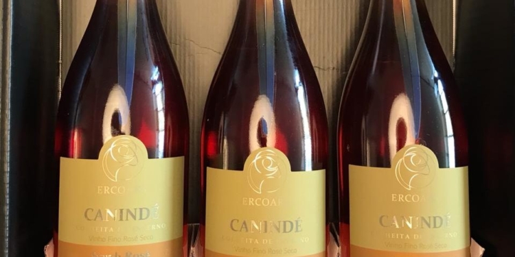 Vinícola Brasília: Capital federal produz pela primeira vez rótulos próprios de vinhos