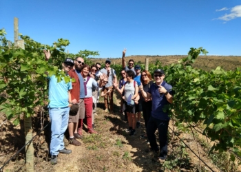 Conheça o Wine Tour do Vinhedo Girassol a 65 km de Brasília