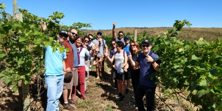 Conheça o Wine Tour do Vinhedo Girassol a 65 km de Brasília