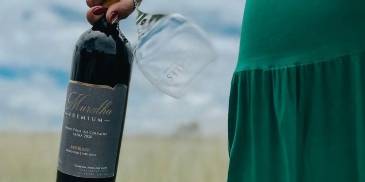 Vinícola Serra das Galés promove degustação de vinhos do Cerrado em Brasília