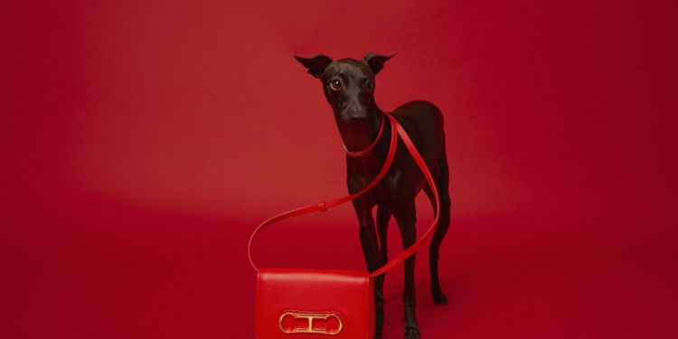 Carolina Herrera lança Mini Bags e usa dogs fofos em campanha