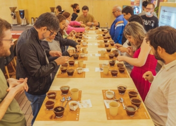 Roasterie: ParkShopping recebe evento voltado para o mundo do café