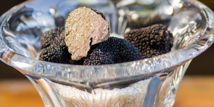 Piselli Brasília traz a 2ª temporada do festival de trufas negras