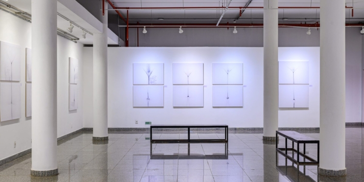 Espaço Cultural Renato Russo recebe o fotógrafo Kazuo Okubo para conversa aberta ao público