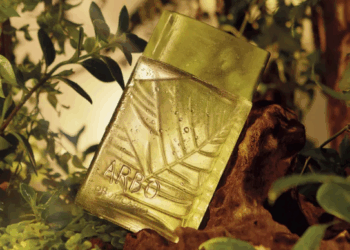 Boticário lança Arbo Forest, fragrância que é um verdadeiro “banho de floresta”