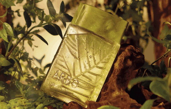 Boticário lança Arbo Forest, fragrância que é um verdadeiro “banho de floresta”