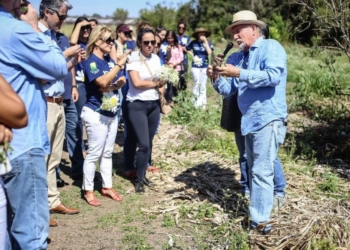 Farmacotécnica promove 19ª edição do Projeto Preservar com programação educativa