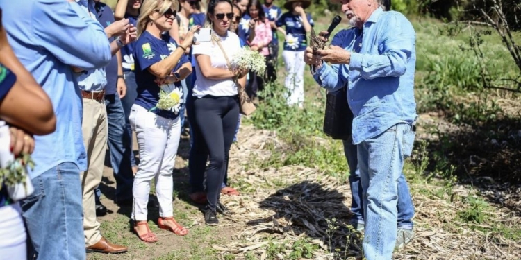 Farmacotécnica promove 19ª edição do Projeto Preservar com programação educativa