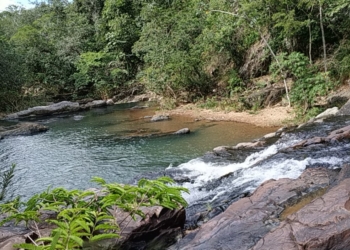 Associação VIVA LAGO OESTE promove semana em celebração ao Cerrado. Confira a programação!