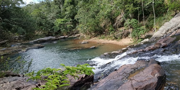 Associação VIVA LAGO OESTE promove semana em celebração ao Cerrado. Confira a programação!
