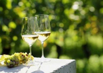 Vinhos para a Primavera: dicas de rótulos para beber na temporada das flores