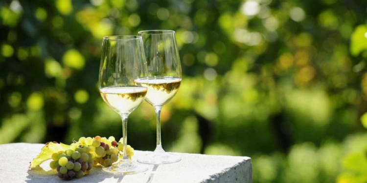 Vinhos para a Primavera: dicas de rótulos para beber na temporada das flores