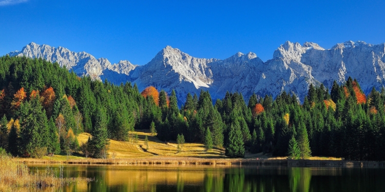 Efeito estufa: Tiffany & Co. se compromete a combater mudanças climáticas