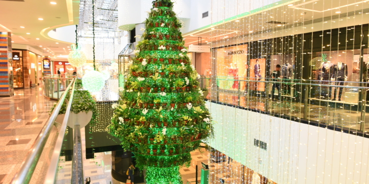 Brasília Shopping apresenta ao público o Jardim do Noel com árvore composta de plantas naturais