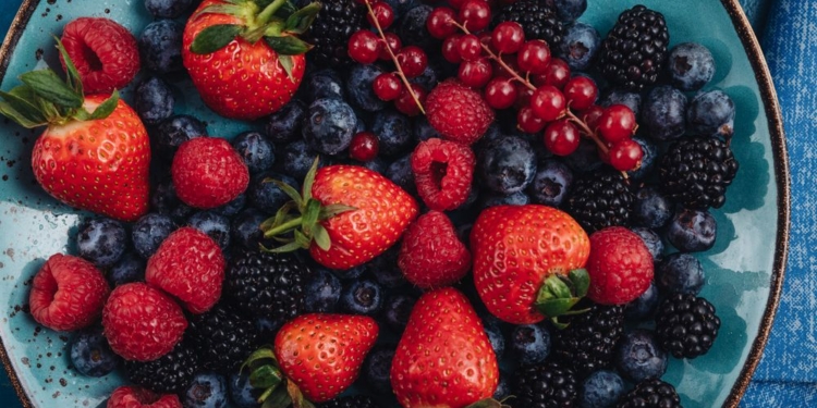 Saiba quais alimentos contribuem para a longevidade humana