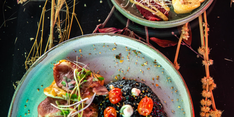 Mezanino da Torre de TV celebra fim de ano com novidades para o Natal e shows no Réveillon