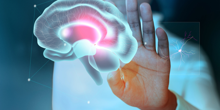 Seu cérebro está saudável? Se atente aos sinais e evite prejuízos futuros com a correria diária