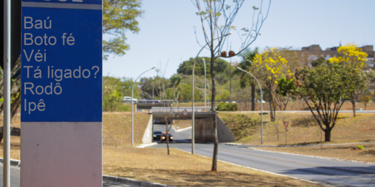 Quantas gírias e expressões relacionadas a Brasília você conhece?