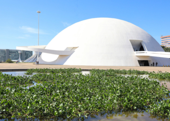 Museu Nacional promove exposição de jardim flutuante nos espelhos d’água