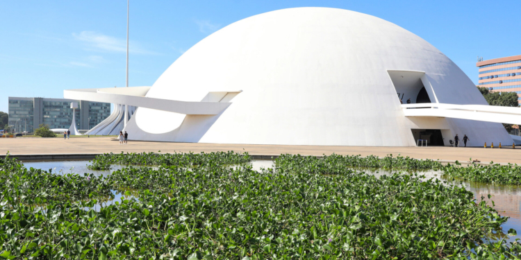 Museu Nacional promove exposição de jardim flutuante nos espelhos d’água
