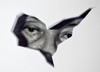 Espaço Oscar Niemeyer inaugura a mostra do artista visual Guilherme Moreira