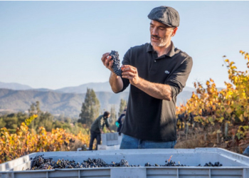 Dom Francisco Restaurante e Enoteca Decanter promovem jantar harmonizado