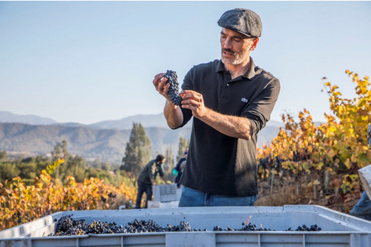 Dom Francisco Restaurante e Enoteca Decanter promovem jantar harmonizado