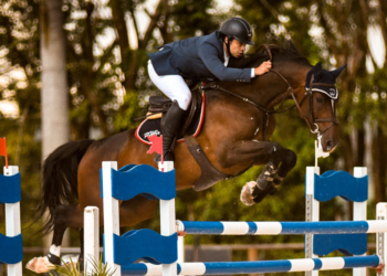 CNS – XVII Copa JK de hipismo abre a temporada 2023 em Brasília