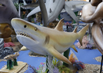 Exposição Sharks: Uma experiência de tirar o fôlego com réplicas animatrônicas de incríveis tubarões no ParkShopping