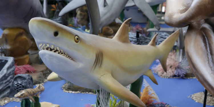 Exposição Sharks: Uma experiência de tirar o fôlego com réplicas animatrônicas de incríveis tubarões no ParkShopping