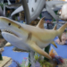 Exposição Sharks: Uma experiência de tirar o fôlego com réplicas animatrônicas de incríveis tubarões no ParkShopping