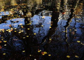 Projeto Imagem Sem Fronteiras realiza 3ª edição com palestras de grandes fotógrafos do Brasil e exterior