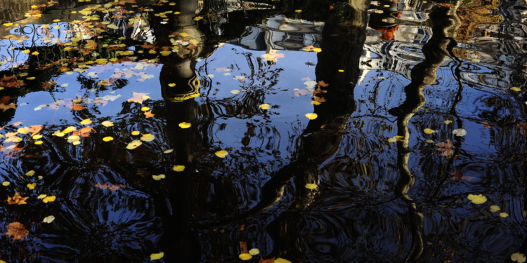 Projeto Imagem Sem Fronteiras realiza 3ª edição com palestras de grandes fotógrafos do Brasil e exterior