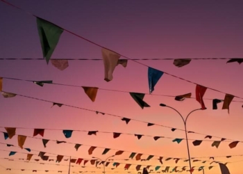 Grupo Resgate Noroeste realiza segunda edição do Arraiá Pet Solidário