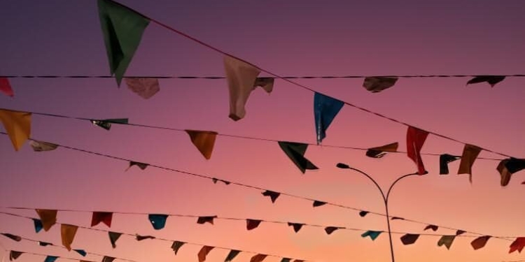 Grupo Resgate Noroeste realiza segunda edição do Arraiá Pet Solidário