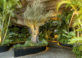 Conheça os ambientes da 31ª edição da CASACOR Brasília 2023