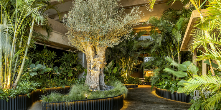 Conheça os ambientes da 31ª edição da CASACOR Brasília 2023