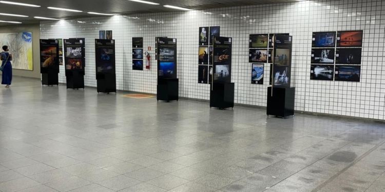 Festival internacional de fotografia promove exposições com fotos campeãs da edição passada