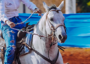 Expoabra 2023: Programação traz a riqueza do campo à Brasília
