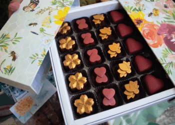 Casapark recebe a 13ª Panela Candanga